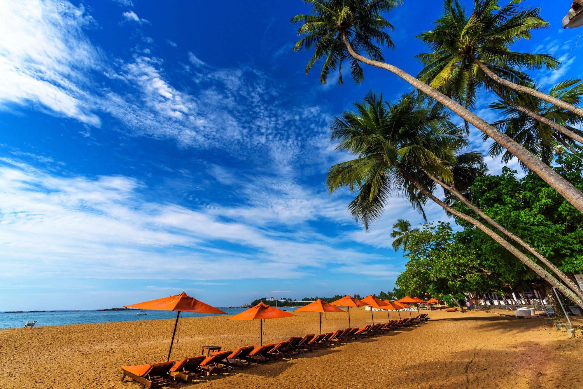 Calamander Unawatuna Beach Екстер'єр фото
